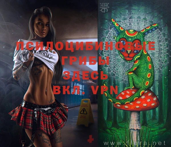 бошки Алексеевка