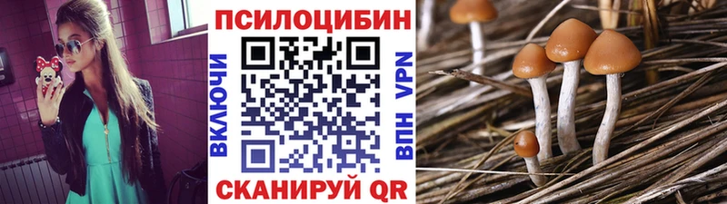 Галлюциногенные грибы мицелий цена Ленинск-Кузнецкий